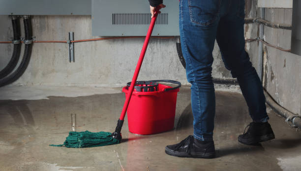 Best 24/7 water damage repair  in Carbondale, IL