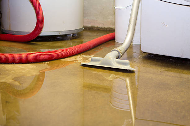 Best Water damage restoration near me  in Carbondale, IL
