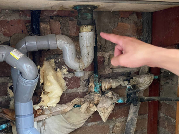 Best 24-hour water damage restoration  in Carbondale, IL