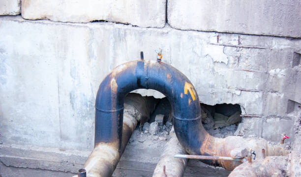 Best Flood damage cleanup  in Carbondale, IL