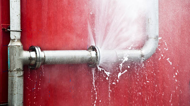 Best Local water damage restoration  in Carbondale, IL