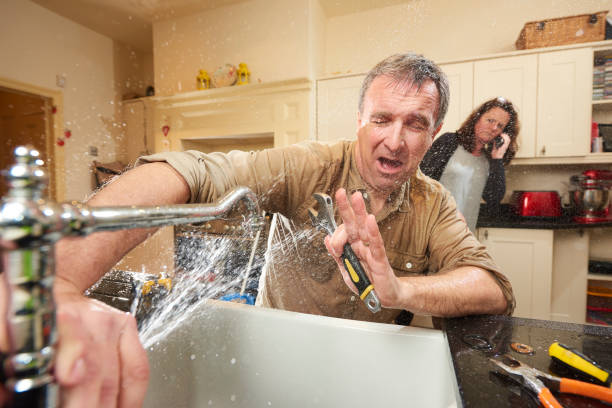 Best Basement water damage restoration  in Carbondale, IL